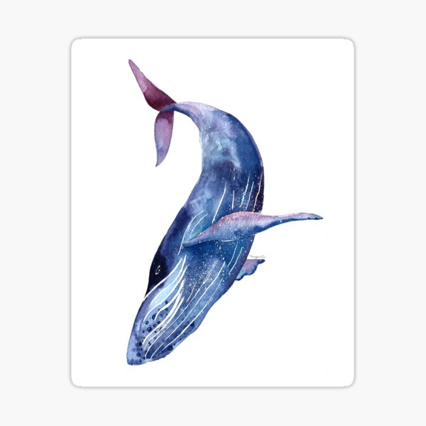 Artikel-Vorschau von Walkunst, Aquarellwal, Blauwal, Purpurwal, designt und verkauft von polkadotwhale.