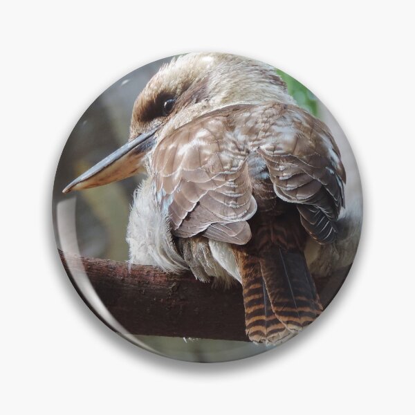 Item preview, Australian Kookaburra (Dacelo novaeguineae) designed and sold by Marilyn Harris.