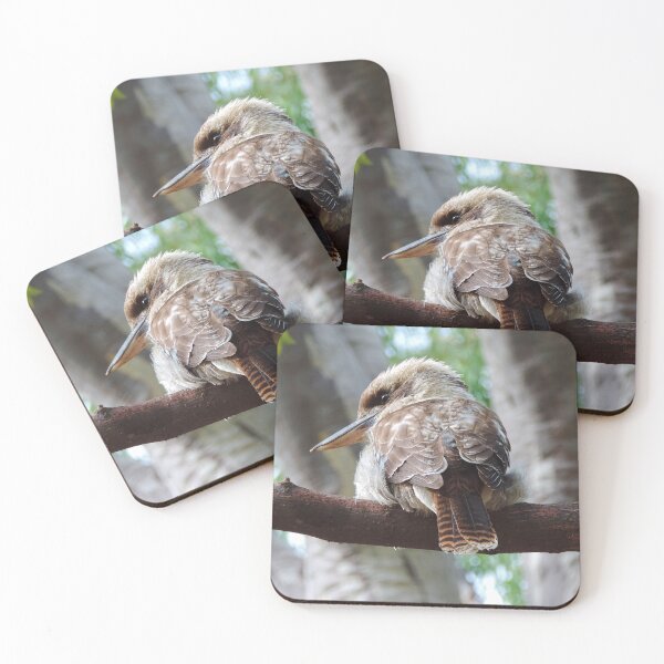 Item preview, Australian Kookaburra (Dacelo novaeguineae) designed and sold by Marilyn Harris.
