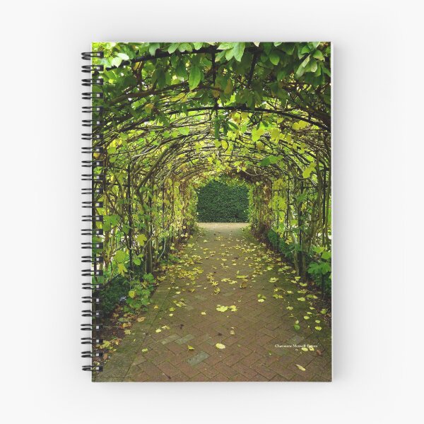 Item preview, Archway at Buckfast Abbey designed and sold by Charmiene Maxwell-Batten.