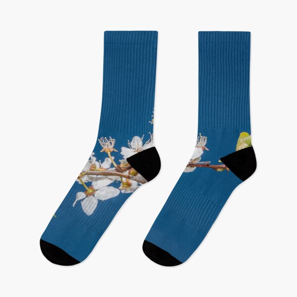 Item preview, Spring Blossoms as Nature Awakens designed and sold by Jon Shore.