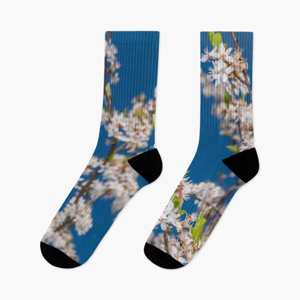 Item preview, Spring Blossoms as Nature Awakens designed and sold by Jon Shore.