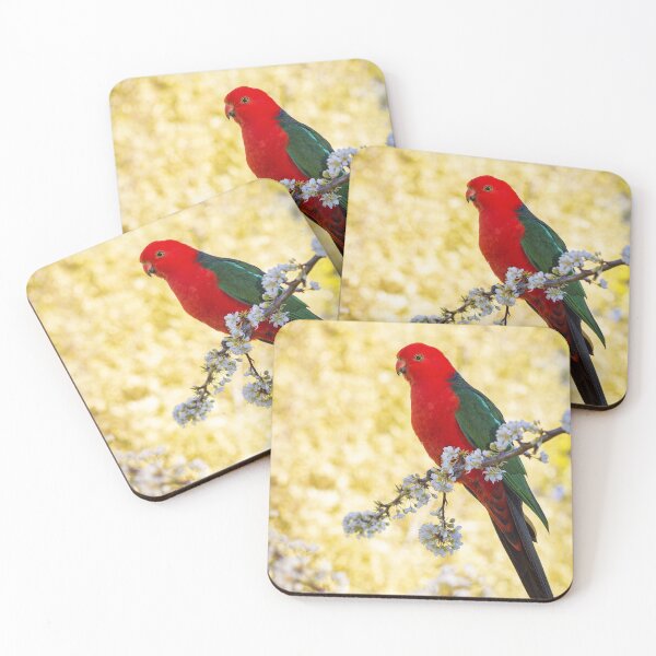 Item preview, Male King Parrot designed and sold by Aussiegall.