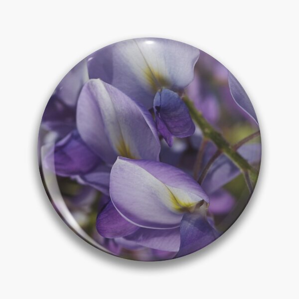 Item preview, Wisteria Flower In Grace designed and sold by Joy Watson - Natural Light Photography .
