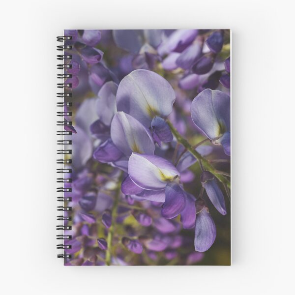 Item preview, Wisteria Flower In Grace designed and sold by Joy Watson - Natural Light Photography .