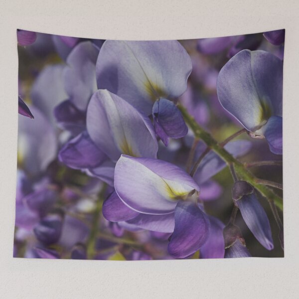 Item preview, Wisteria Flower In Grace designed and sold by Joy Watson - Natural Light Photography .