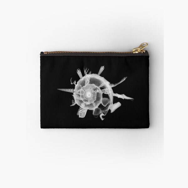 Item preview, The Shell Collector - X-Ray  designed and sold by Juergen Freund.
