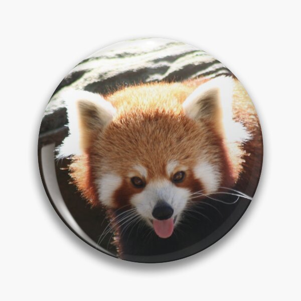 Aperçu de l'œuvre Red Panda Tongue créée et vendue par v-something.