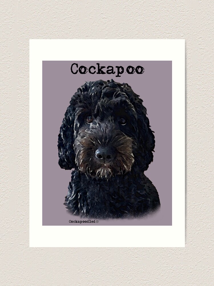 black cockapoo jigsaw