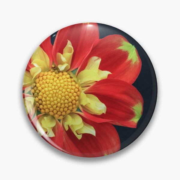 Item preview, Dahlia  Pooh with  black background. designed and sold by John Ray.