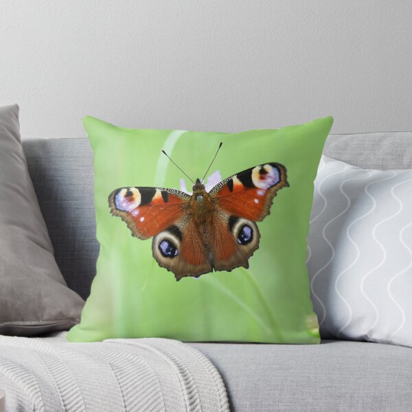 Item preview, Peacock butterfly designed and sold by IoanaHraball.