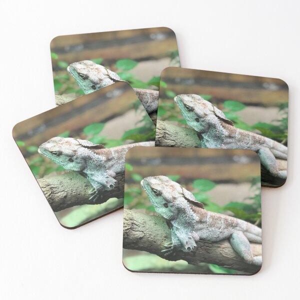 Item preview, Dry Lizard designed and sold by vn.