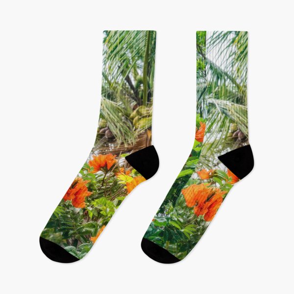 Item preview, The beautiful red flowers of the African Tulip Tree at Kuto Bay Beach designed and sold by Danielasphotos.
