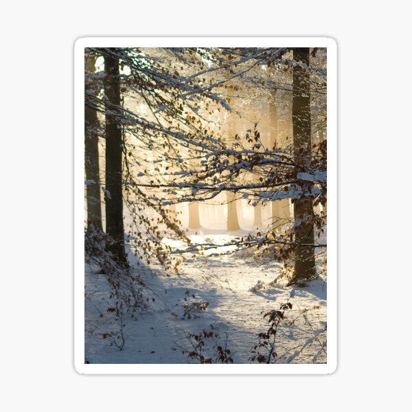 Filtering through Sticker