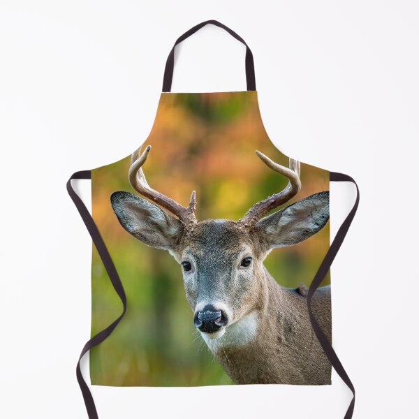 Item preview, Whitetail Buck designed and sold by ReflectPhoto.
