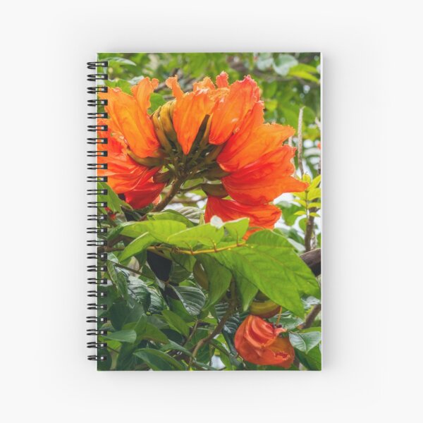 Cuadernos de espiral: Spathodea | Redbubble