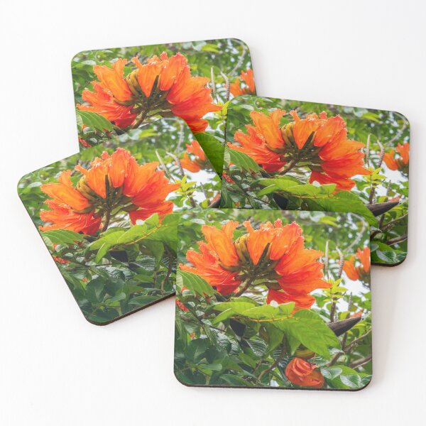 Item preview, African Tulip Tree at the beach in New Caledonia designed and sold by Danielasphotos.