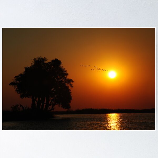 Vista previa del artículo con la obra «Chobe Sunset», diseñado y vendido por BeckyMP.