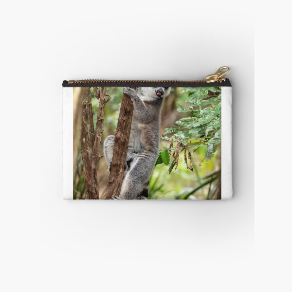 Artikelvorschau, Ring Tailed Lemur entworfen und verkauft von Andrew Goodall.