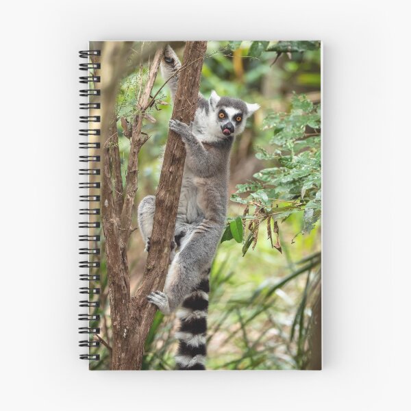 Item preview, Ring Tailed Lemur designed and sold by Andrew Goodall.