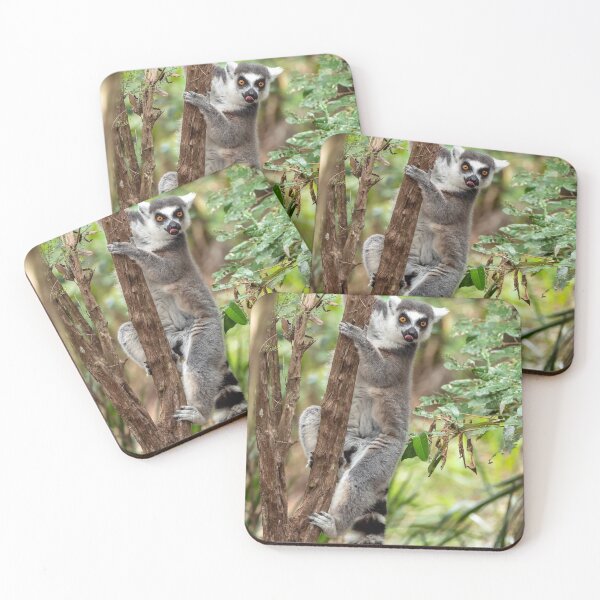 Item preview, Ring Tailed Lemur designed and sold by Andrew Goodall.