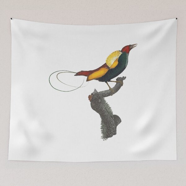 Item preview, Magnificent bird-of-paradise designed and sold by Photopicture.