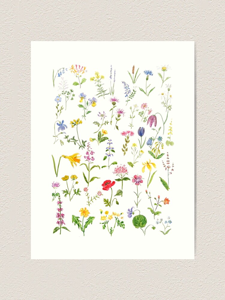 Alternative Ansicht von Fühlen Sie sich wie umgeben von all den schönen und zarten Wildblumen. Fühlen Sie sich wie in einer friedlichen Landschaft und schauen Sie sich die Zeit an, aber die Schönheit bleibt. Kunstdruck