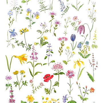 Artwork thumbnail, hand painted botanical colorful countryside wildflowers watercolor painting by ColorandColor