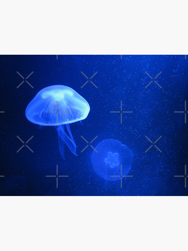 Blue Jellyfish by RyanDraws