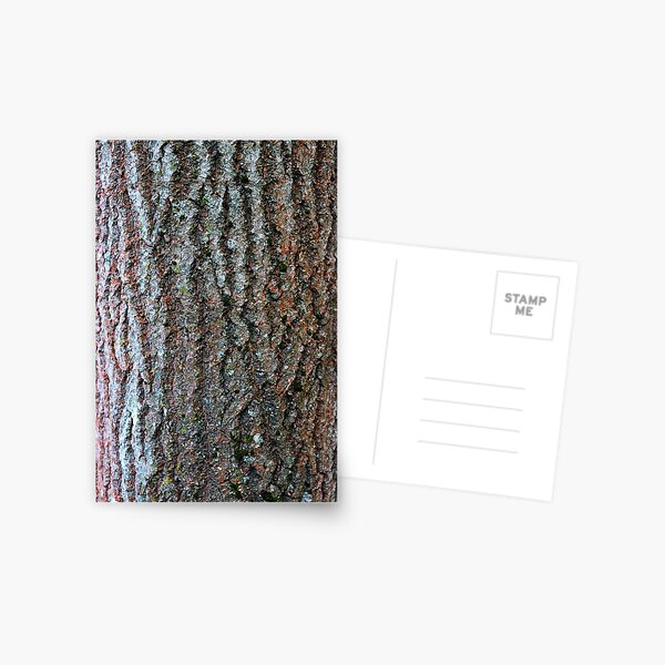 Classic wood pattern Postcard