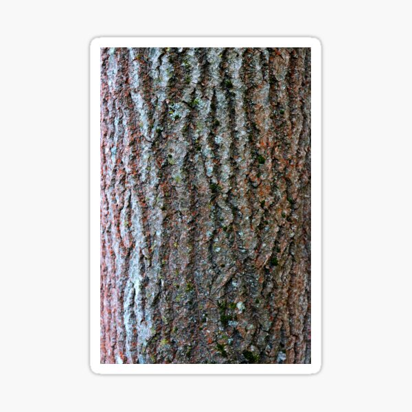 Classic wood pattern Sticker