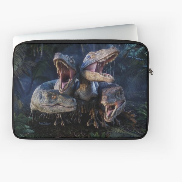 HARD TOP DINOSAUR PENCIL CASE – Jeans Warehouse