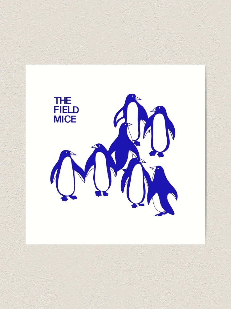 d*3様 THE FIELD MICE ベストアルバム限定1000枚２枚組 farp,medium,wall_texture,