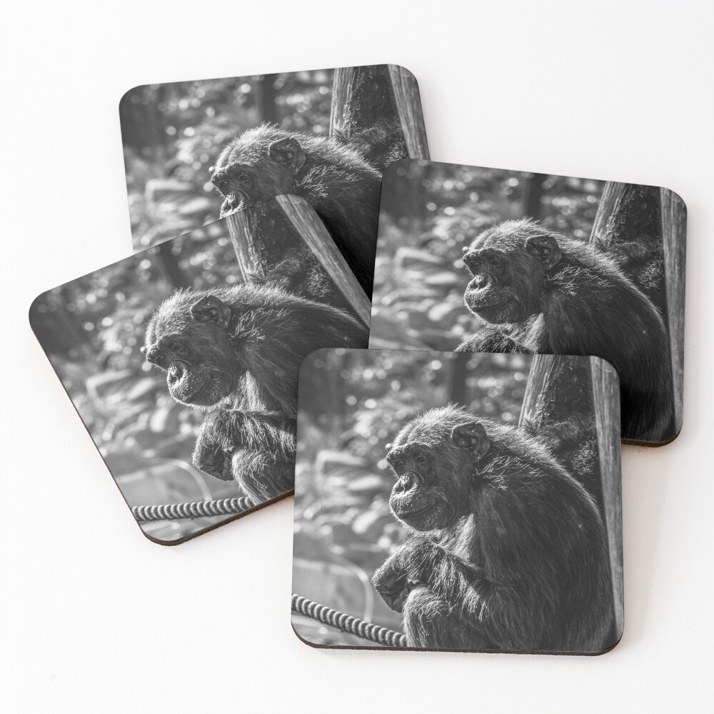 Item preview, Coasters (Set of 4) designed and sold by Ruth-Goldsack.