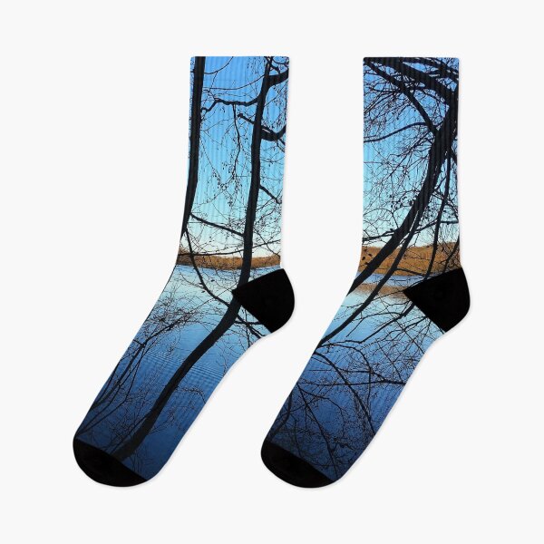 Item preview, Lake and Trees designed and sold by Danny Cazzato.
