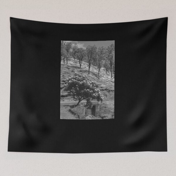 Item preview, SSK 9214 Envying From The Top. B/W designed and sold by Sunil Kapadia.