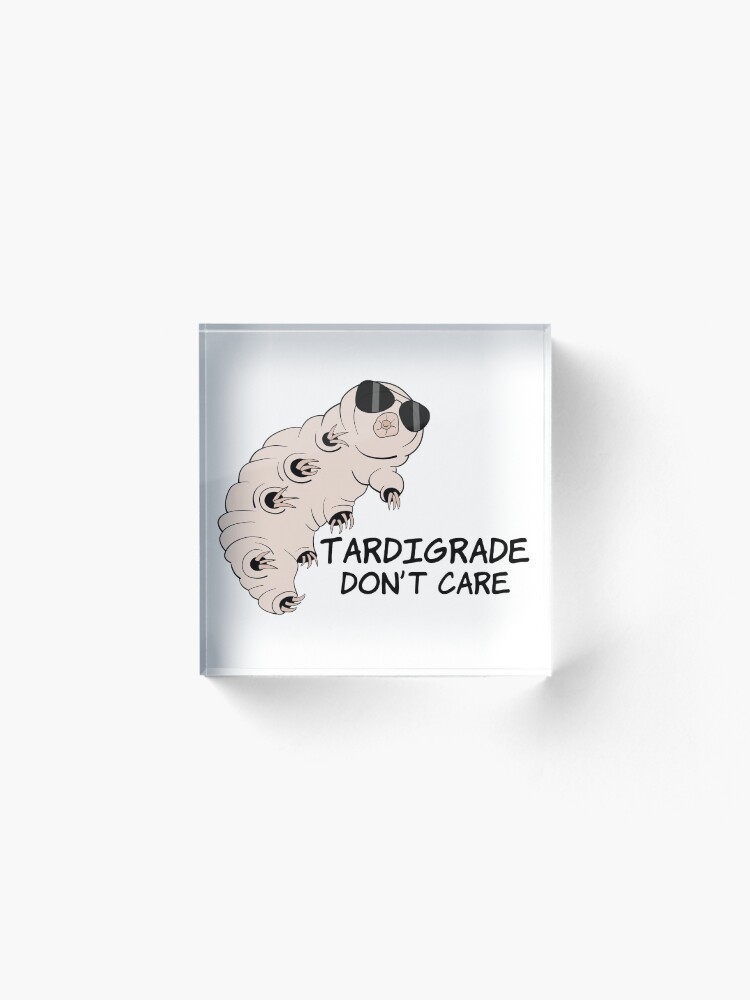 Alternate view of Tardigrade Don't Care Acrylic Block