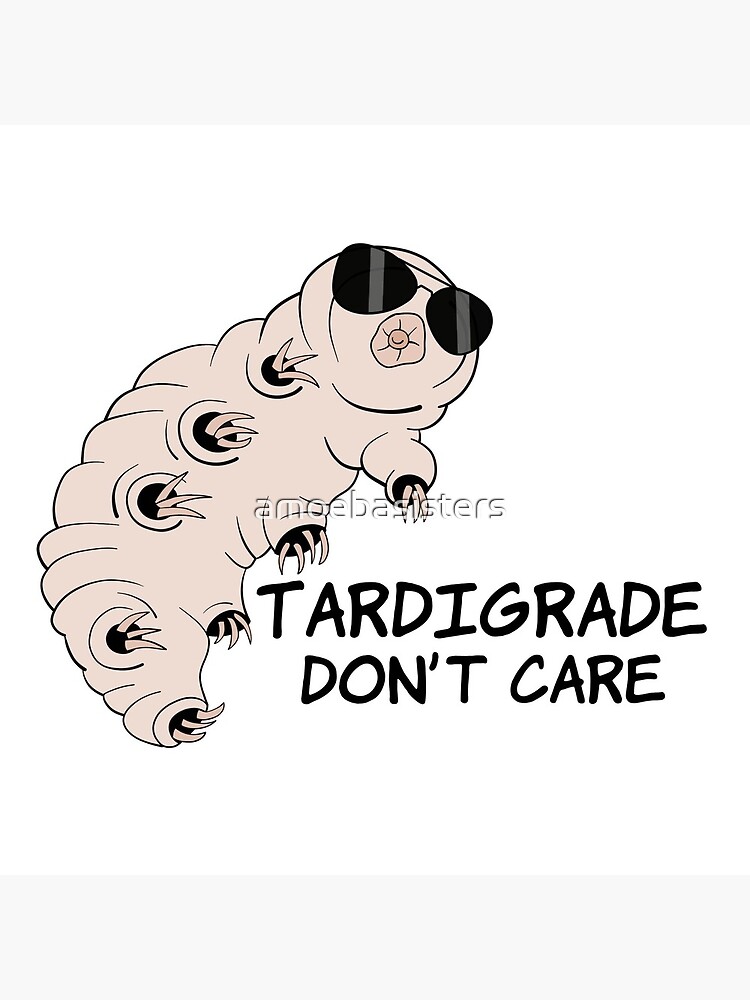 Tardigrade Don't Care by amoebasisters