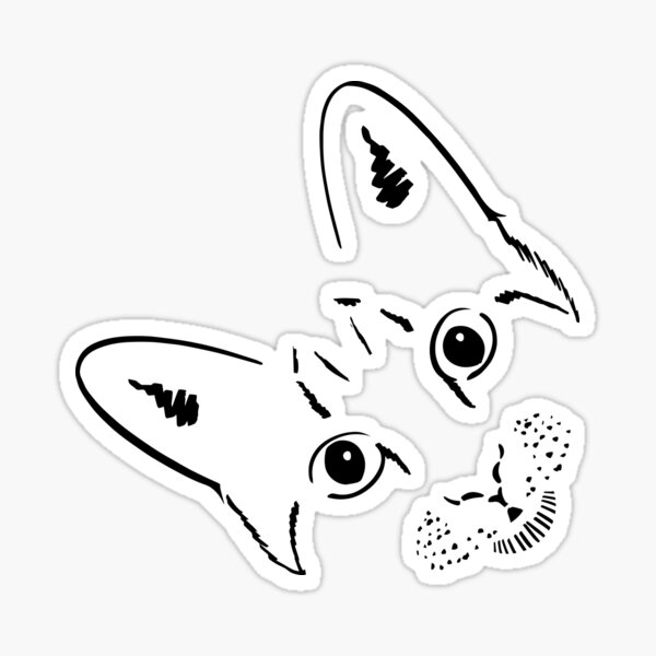 Scribble Cat is not Judging You Sticker