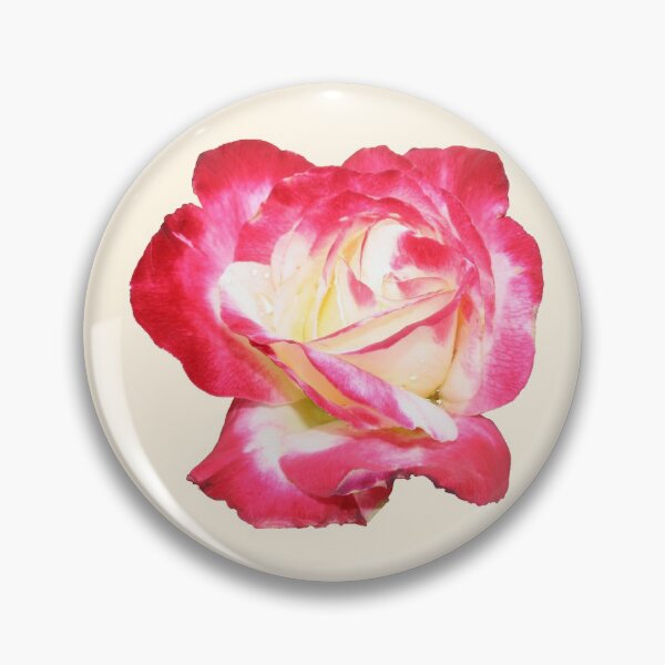Item preview, Red and Cream Rose designed and sold by STHogan.