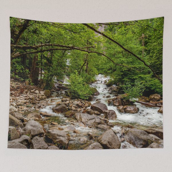 Item preview, Canadian woodland stream designed and sold by Dalyndigital Photography.