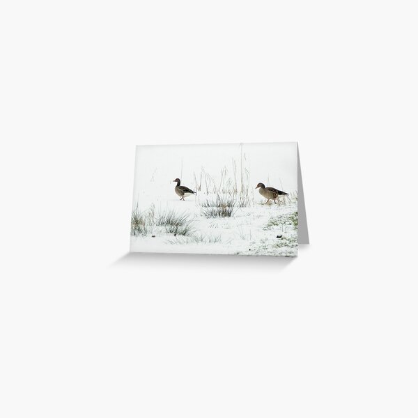 Into the white, wide world Greeting Card