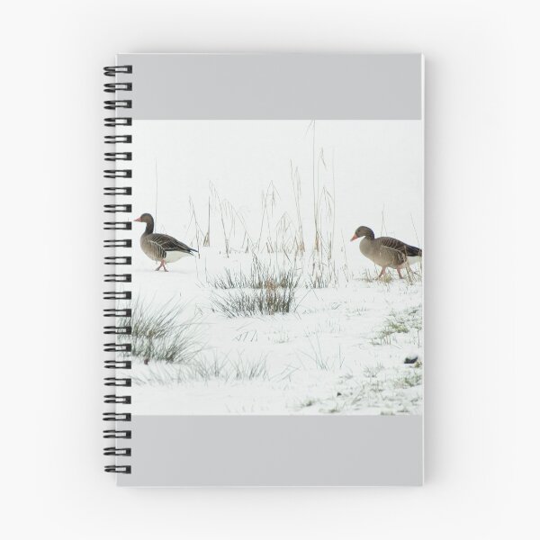 Item preview, Into the white, wide world designed and sold by steppeland.