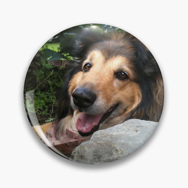 Item preview, Sable Collie in the Garden  designed and sold by tictacgraphics.