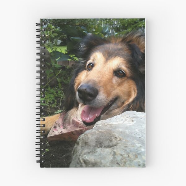 Item preview, Sable Collie in the Garden  designed and sold by tictacgraphics.