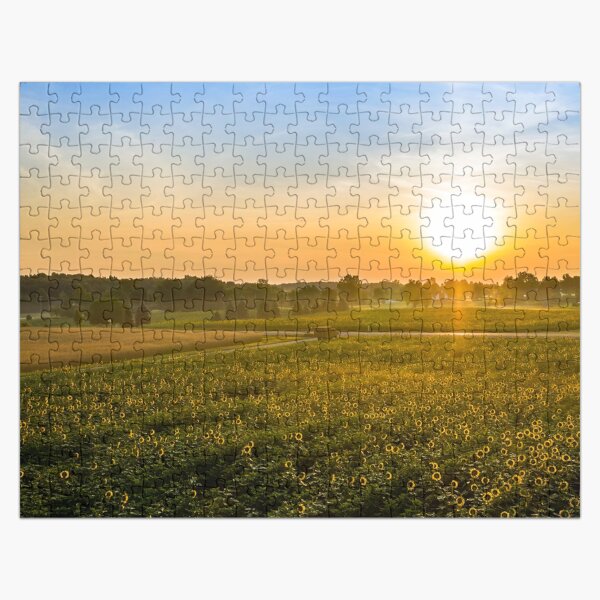 Item preview, Sunflower Sunrise designed and sold by ReflectPhoto.
