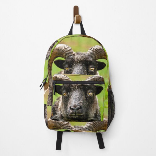 Item preview, North Ronaldsay Ram designed and sold by Dalyndigital Photography.