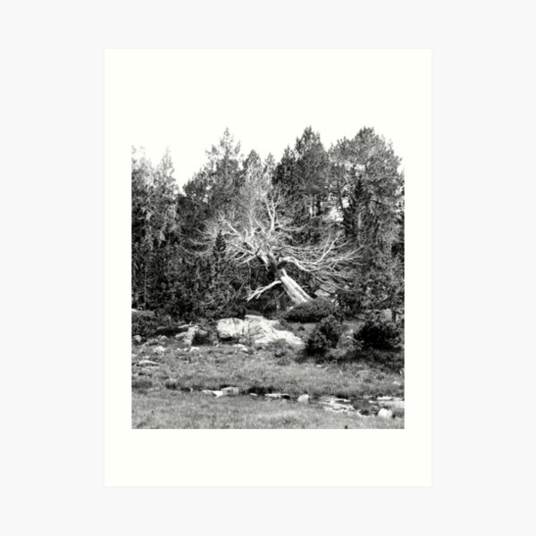 Still there... Art Print