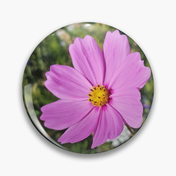 Item preview, Flowers Go Wild in Wimbledon 7 - Pink Cosmos greets the sun designed and sold by ellenhenry.