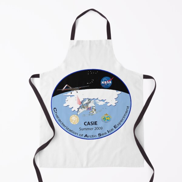 Item preview,  Characterization of Arctic Sea Ice Experiment 2009 Logo designed and sold by Nikki SpaceStuffPlus.
